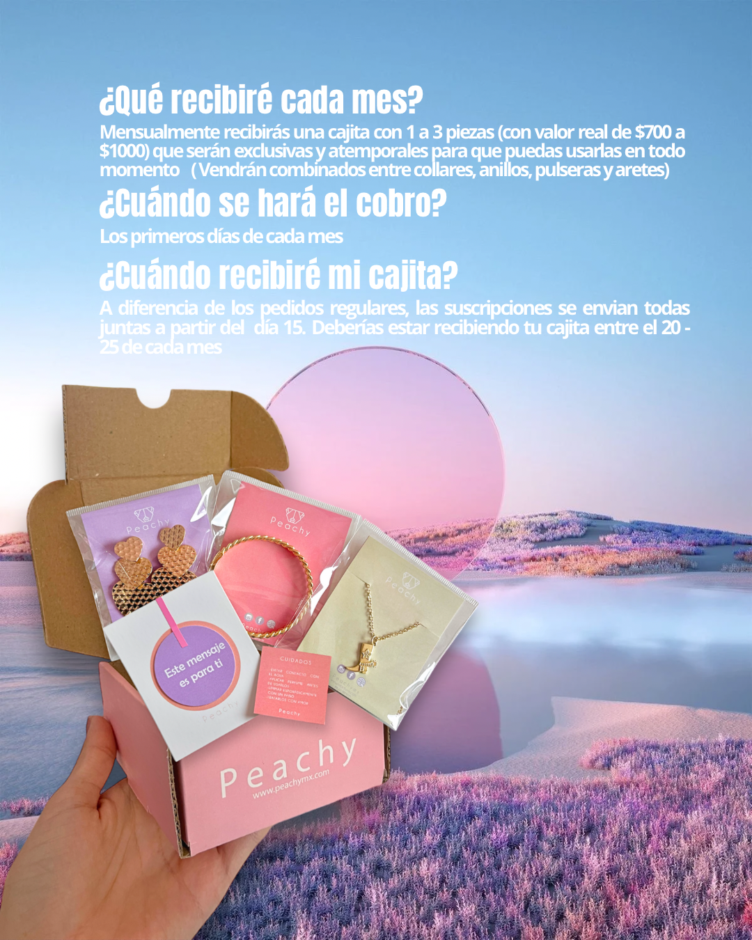 Peachy Box - Suscripción mensual de Joyería ✨