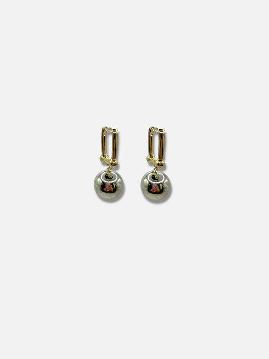 Aretes bicolor.